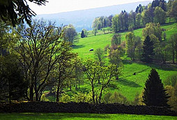 Mutterkreuz