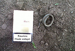 Vlastní zkušenost s odborníky