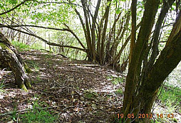 Rychlovka RAD