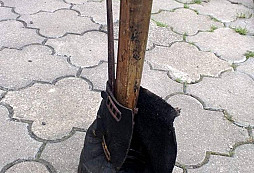 Půdovka z hájenky