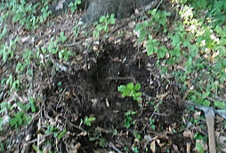 Sudeťáček II.