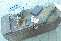 Netovka