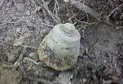 Identifikacia nalezu