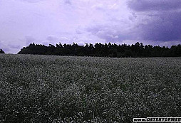 Sovětské ufo