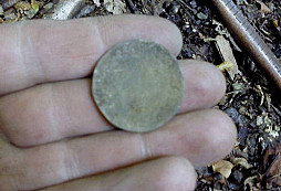Letní nálezy II.