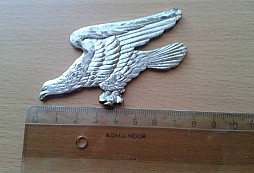 Identifikácia orla