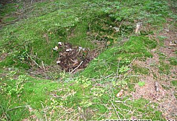 Ze Sudetského pomezí