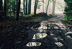 Něco "z terénu" pro Schotyho