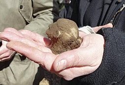 Švédové našli „zlaté" hlavy Vikingů