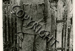 Pomoc s určením řádu