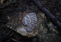 Drobnosti