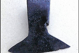 Trochu železa