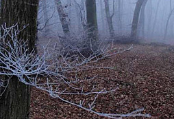 Decembroprosincové drobnosti