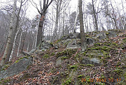 Předvánoční