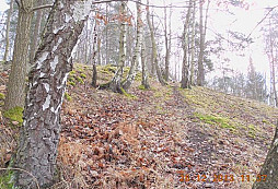 Vánoční