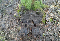 Pásy