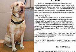 PF 2014: vybrali jsme tu nej