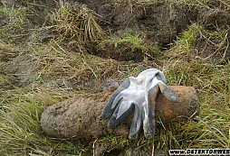 Určení příboru, stříbrňáček a jeden hnus