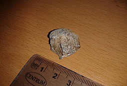 Pečetítko a volovo