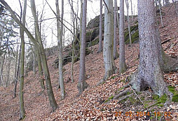 Sněženky a machři