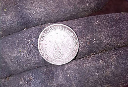 Určeni stříbrňáčku