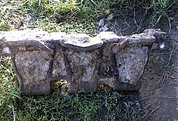 Prosba o identifikaci