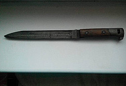 Škoda ho