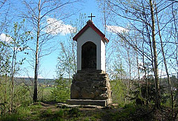Lesní mix