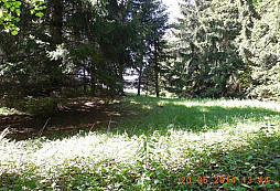Květnová směs