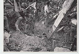 Prosba o určení uniforem