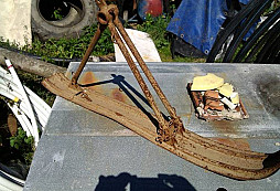 Prosba o ztotožnění