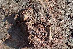 Nalezen další "irský Ötzi"