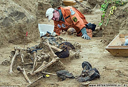 Svědectví Seelowských výšin