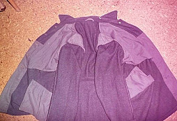 Prosba o určení saka