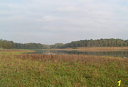 Rybníček
