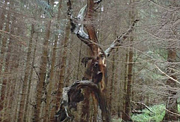 Kopat dokud se dá...