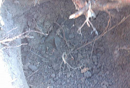 Bronzová sekyrka odevzdána