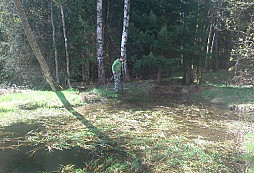 Orlička