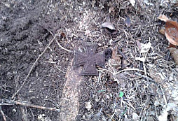 Křížová výprava