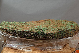 Depot keltských mincí z Jersey vydává zlato