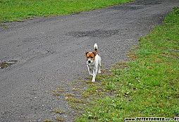 ERNY 5.2006 - 12.2014