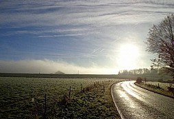 Foret ď Orient II
