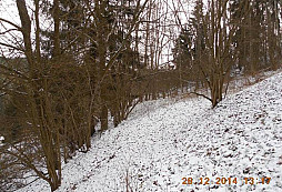 Poslední 2014