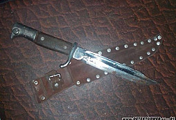 Prosba o určení bodáku