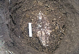 Happy Christmas za 35 milionů