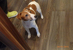 Snad nový hledač JACK v našich řadách...