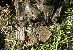 Netradiční výlov II.