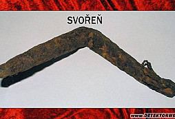 Svořeň a "svořínek"