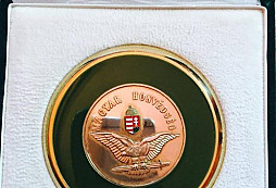 Prosba o určení - lepší fotky