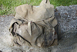 Neznámá velká polní?